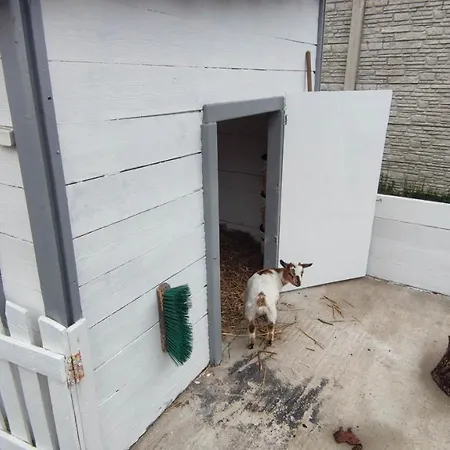 Ubytování v soukromí Chez L'habitant Avec Jacuzzi *